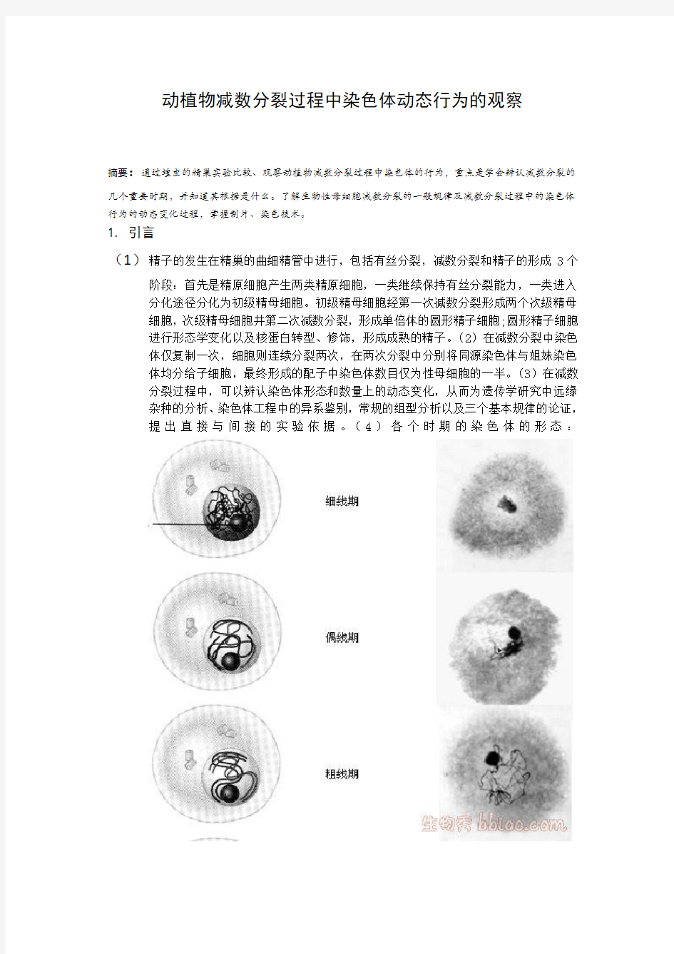 动植物减数分裂过程中染色体动态行为的观察