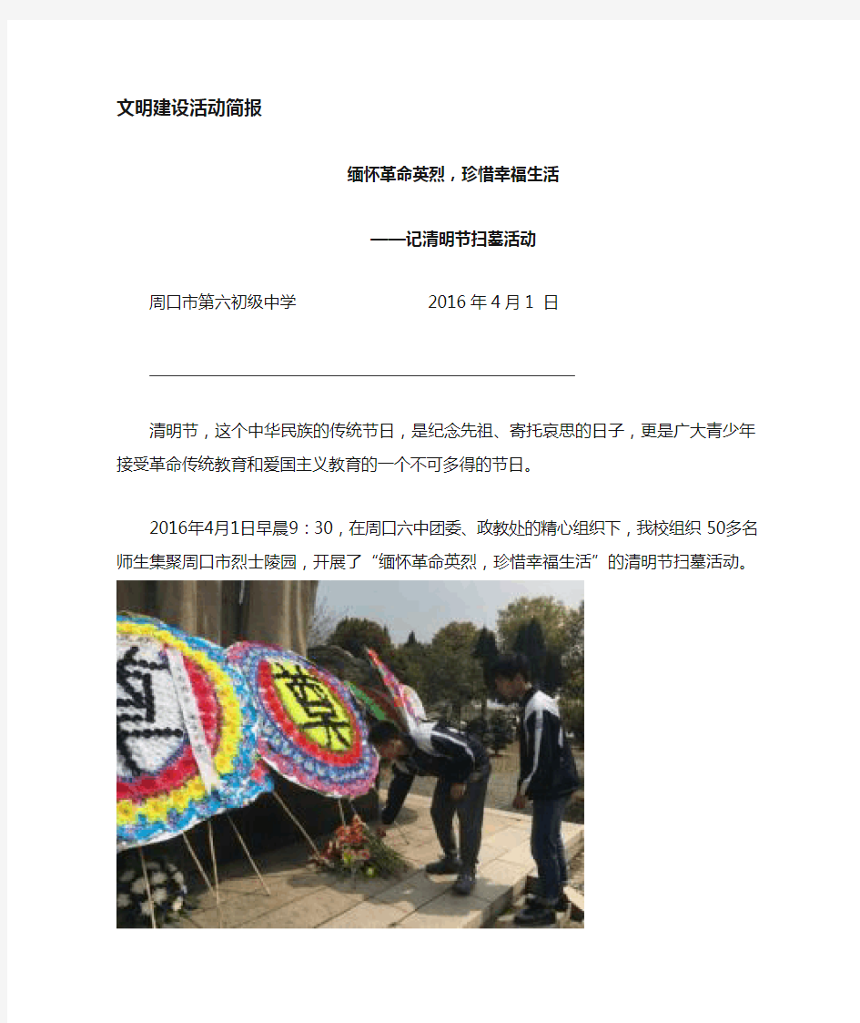 清明节扫墓活动简报