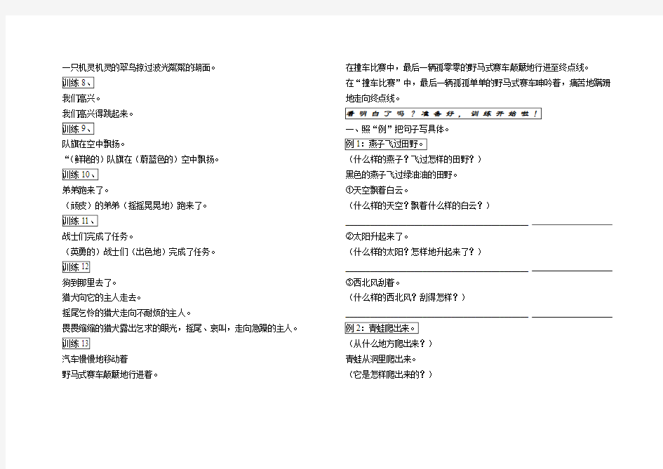 小学语文扩写句子专项训练(内部资料)