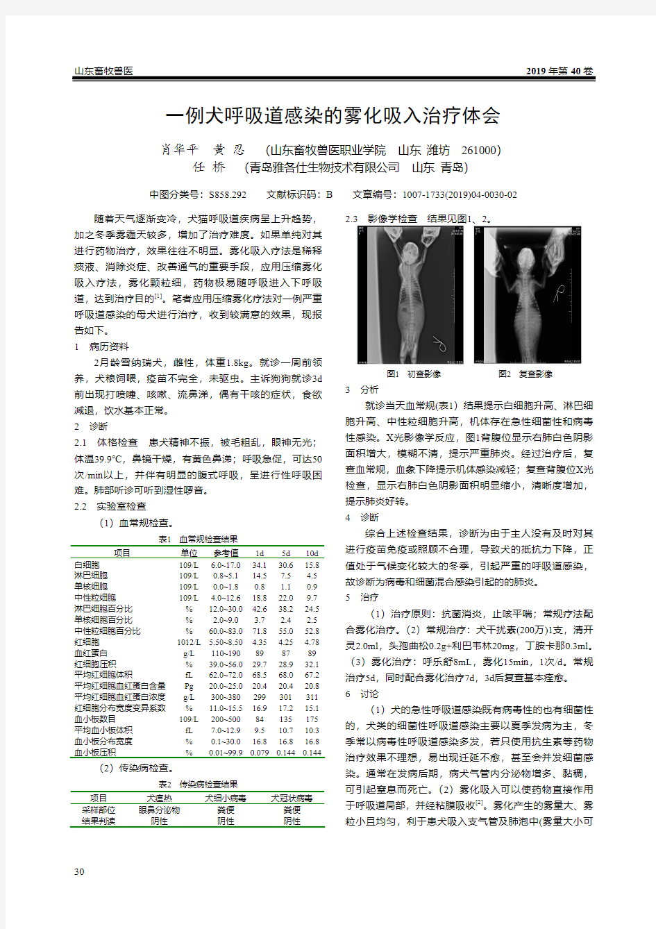 一例犬呼吸道感染的雾化吸入治疗体会