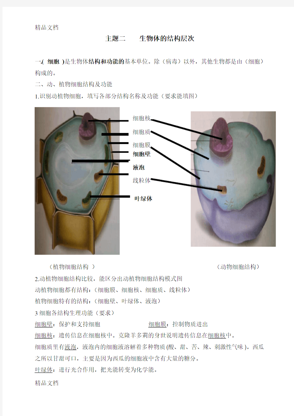 最新人教版初中生物知识点归纳总结