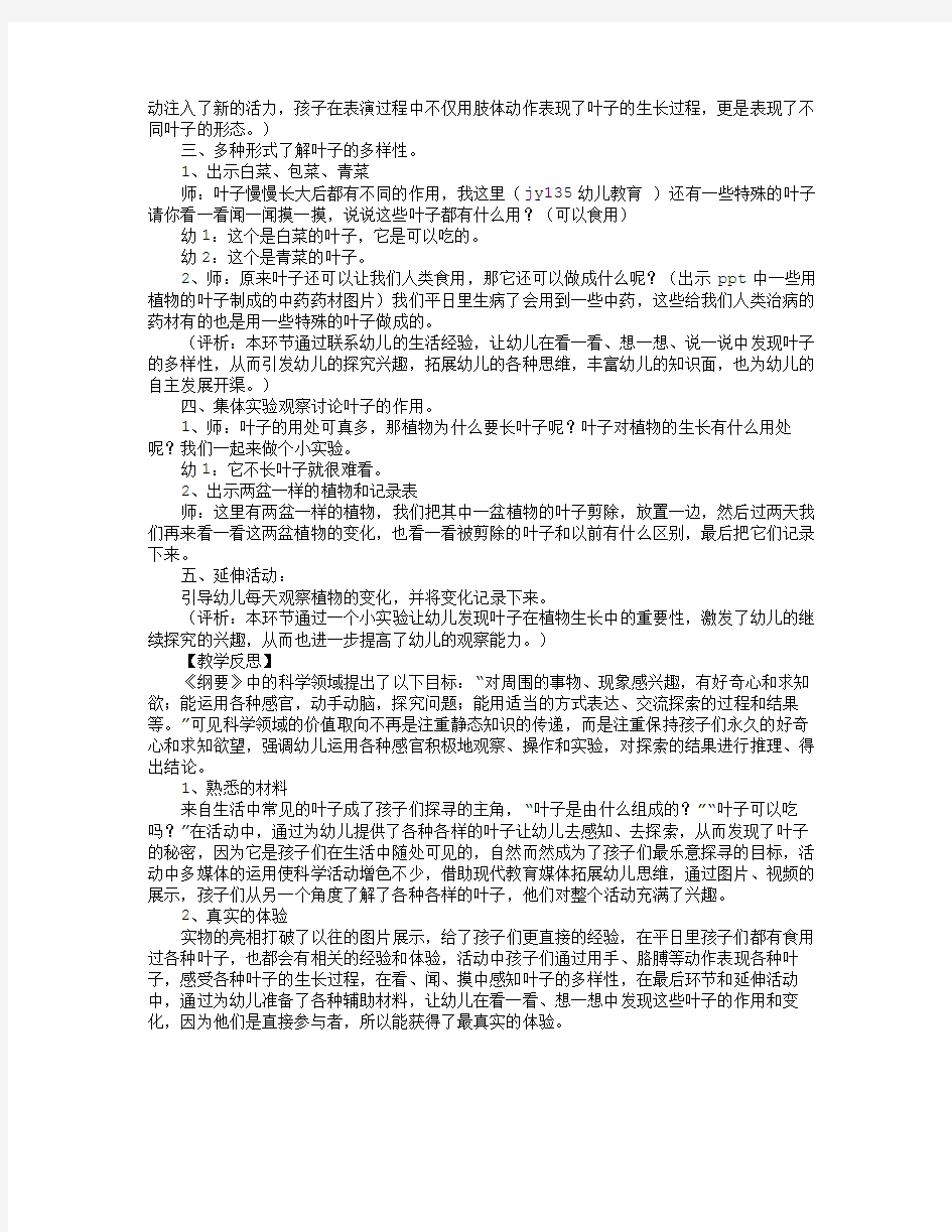 中班科学教案：叶子的秘密