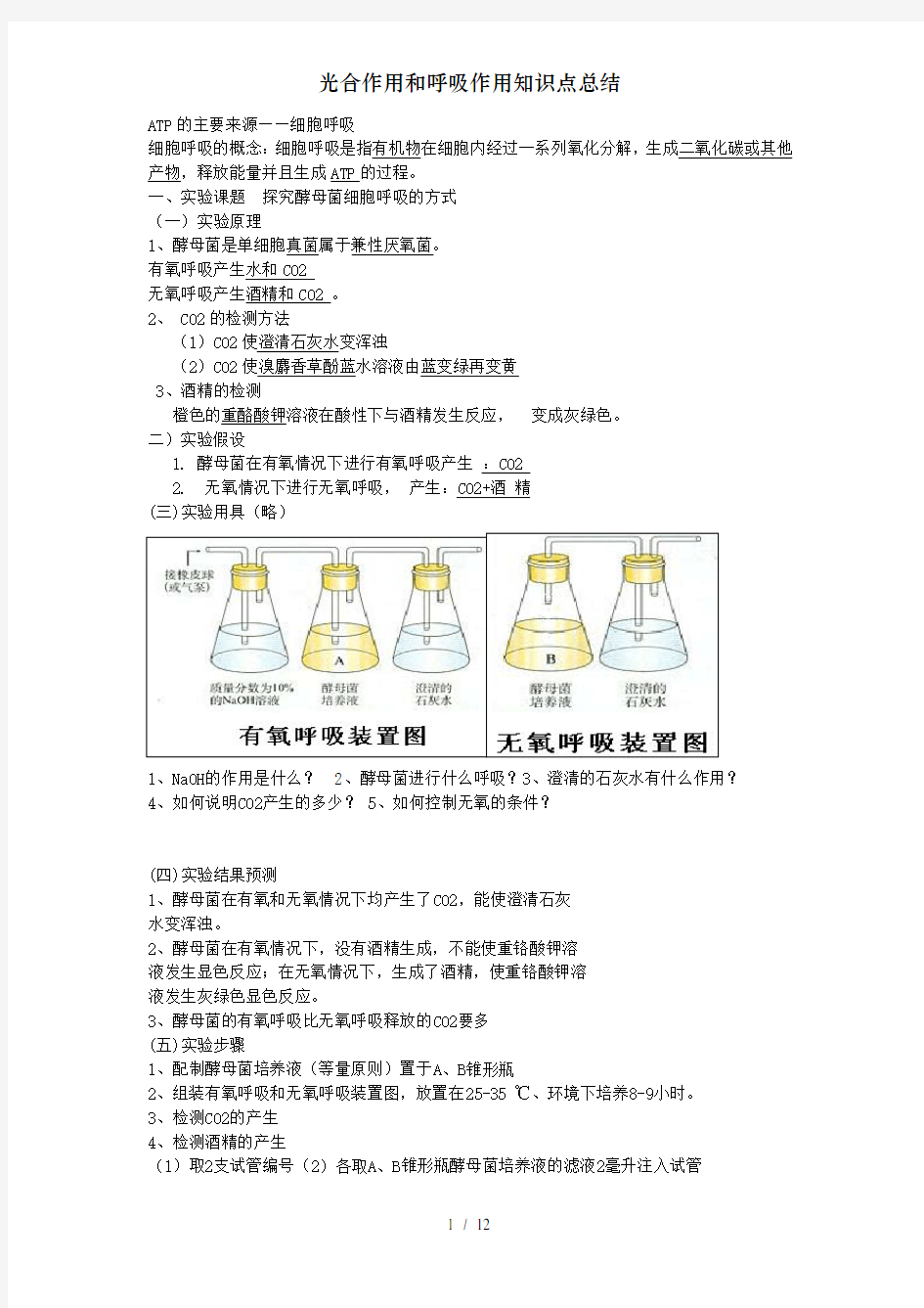 光合作用和呼吸作用知识点总结