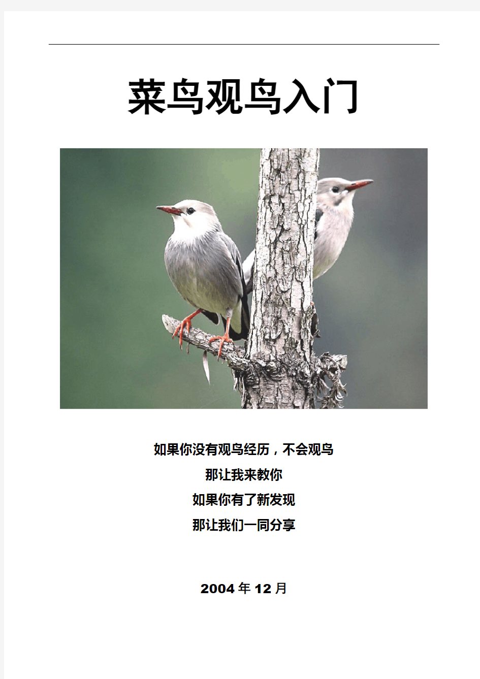 鸟类知识教学文档