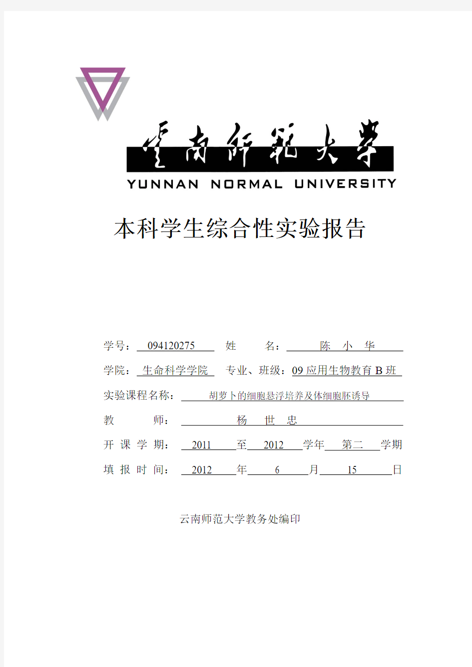 云南师范大学综合性实验报告格式