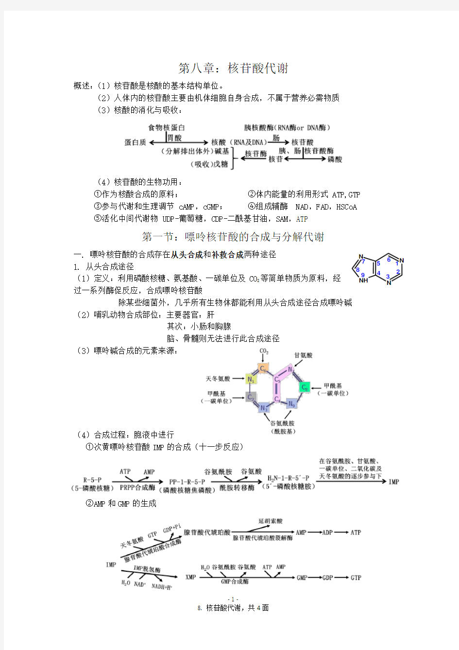 核苷酸代谢总结