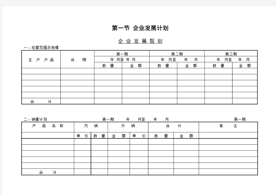 企业发展计划表