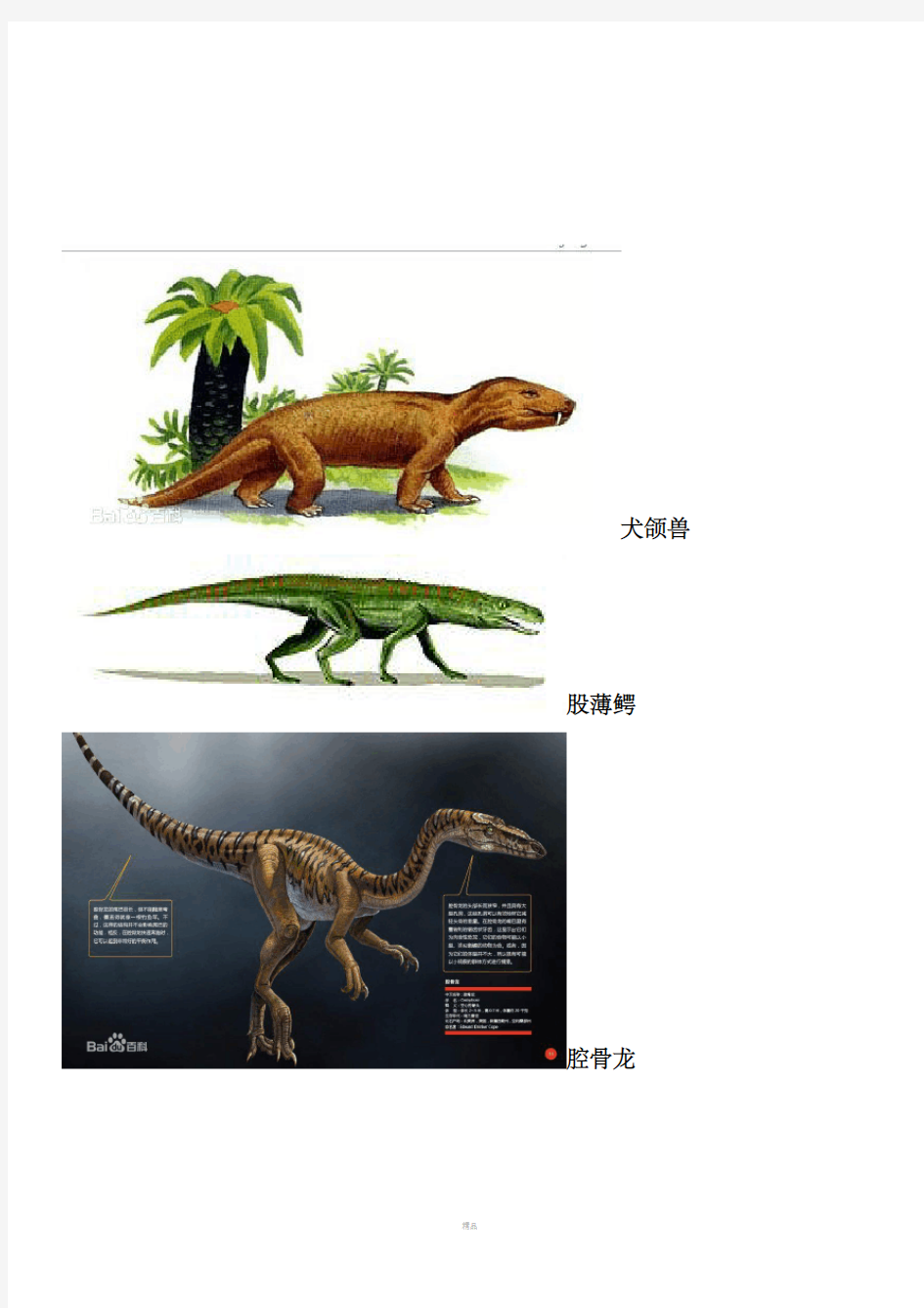 最全恐龙名字以及图片-恐龙图集