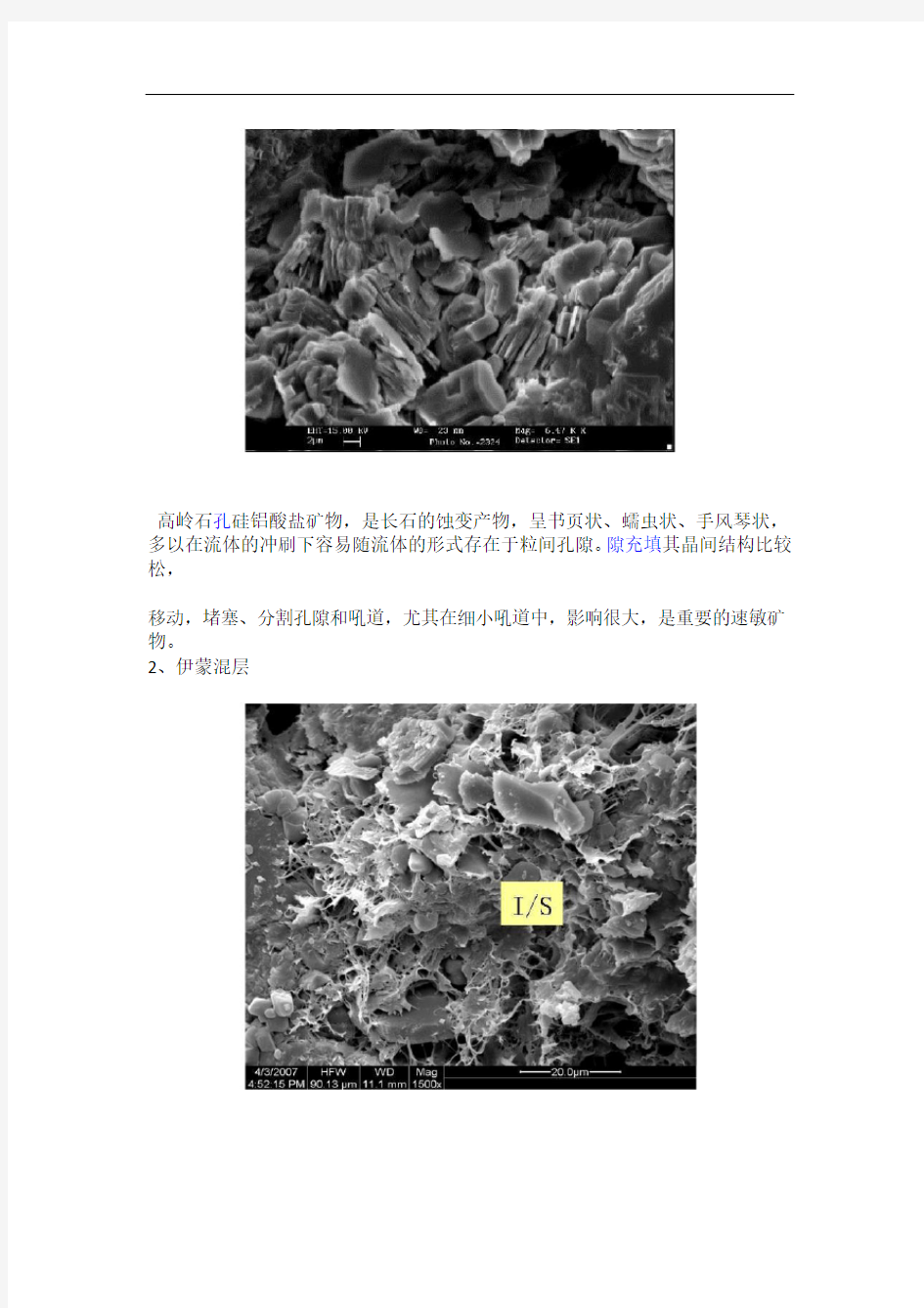 完整版粘土矿物扫描电镜描述文字 图片升级版