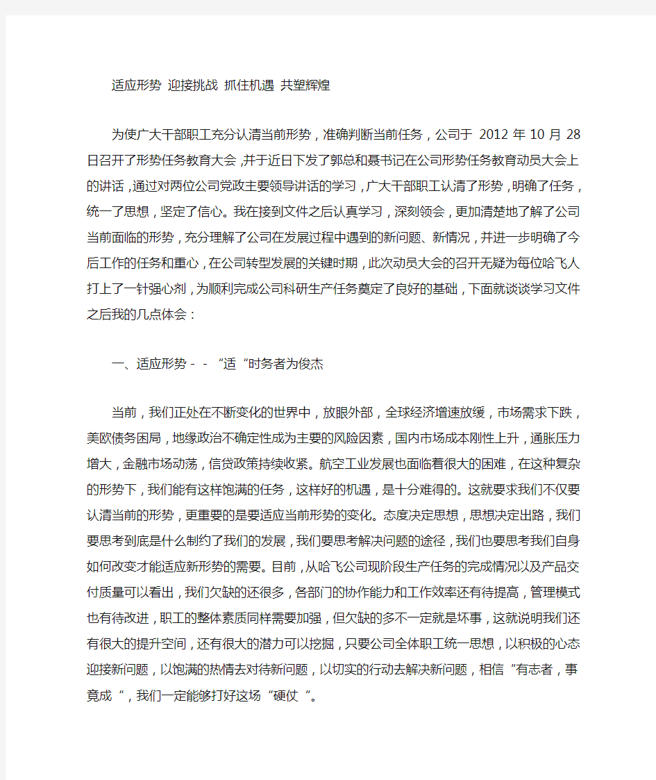 公司形势任务教育动员大会精神心得体会