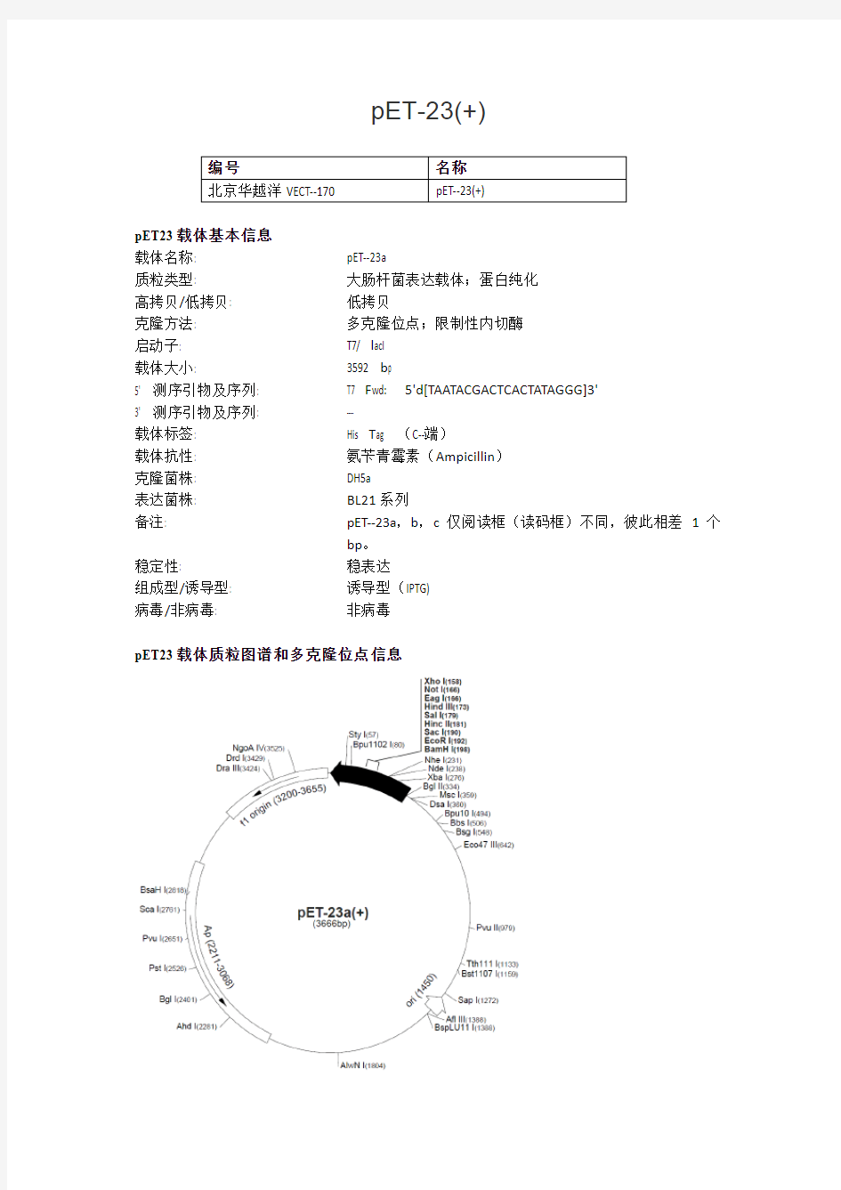 pET-23(+)大肠杆菌表达载体说明