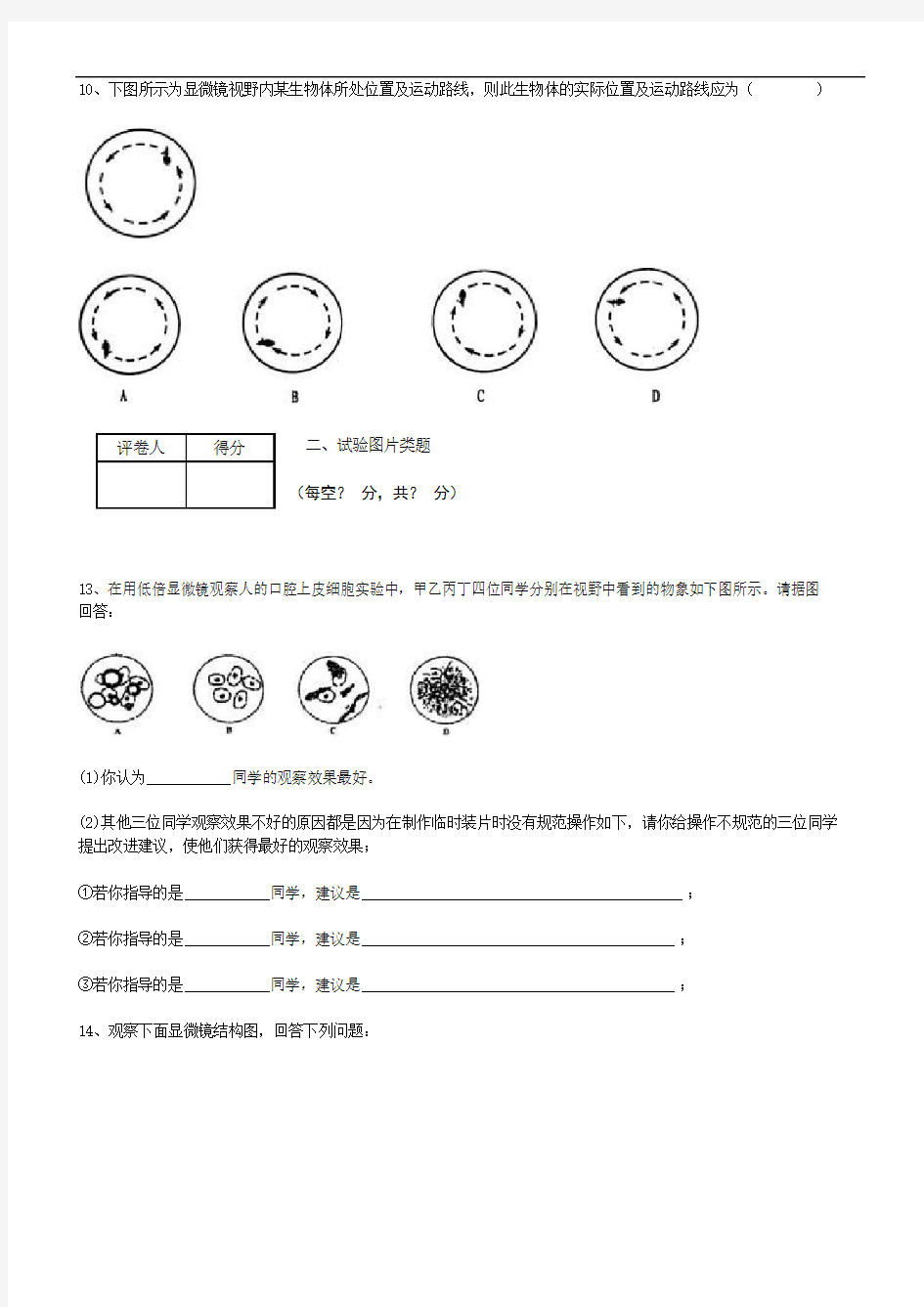 七年级上册生物探索生命的奥秘练习题