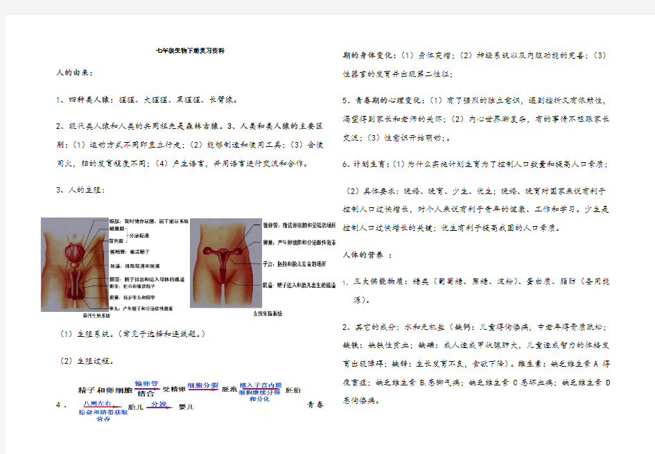 人教版七年级生物下册笔记78218