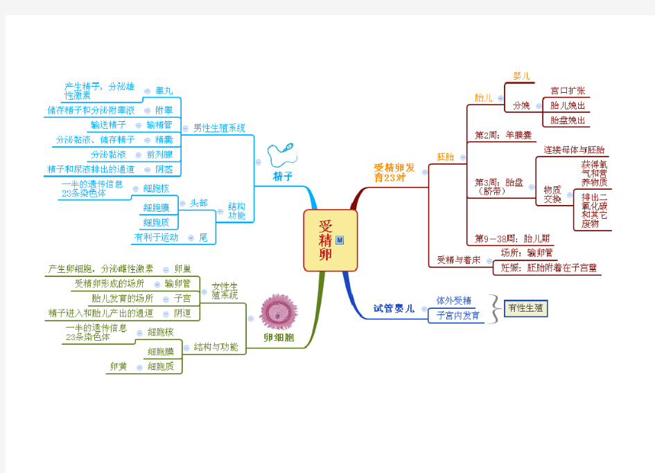 浙教版科学七年级下册全章思维导图教学文案