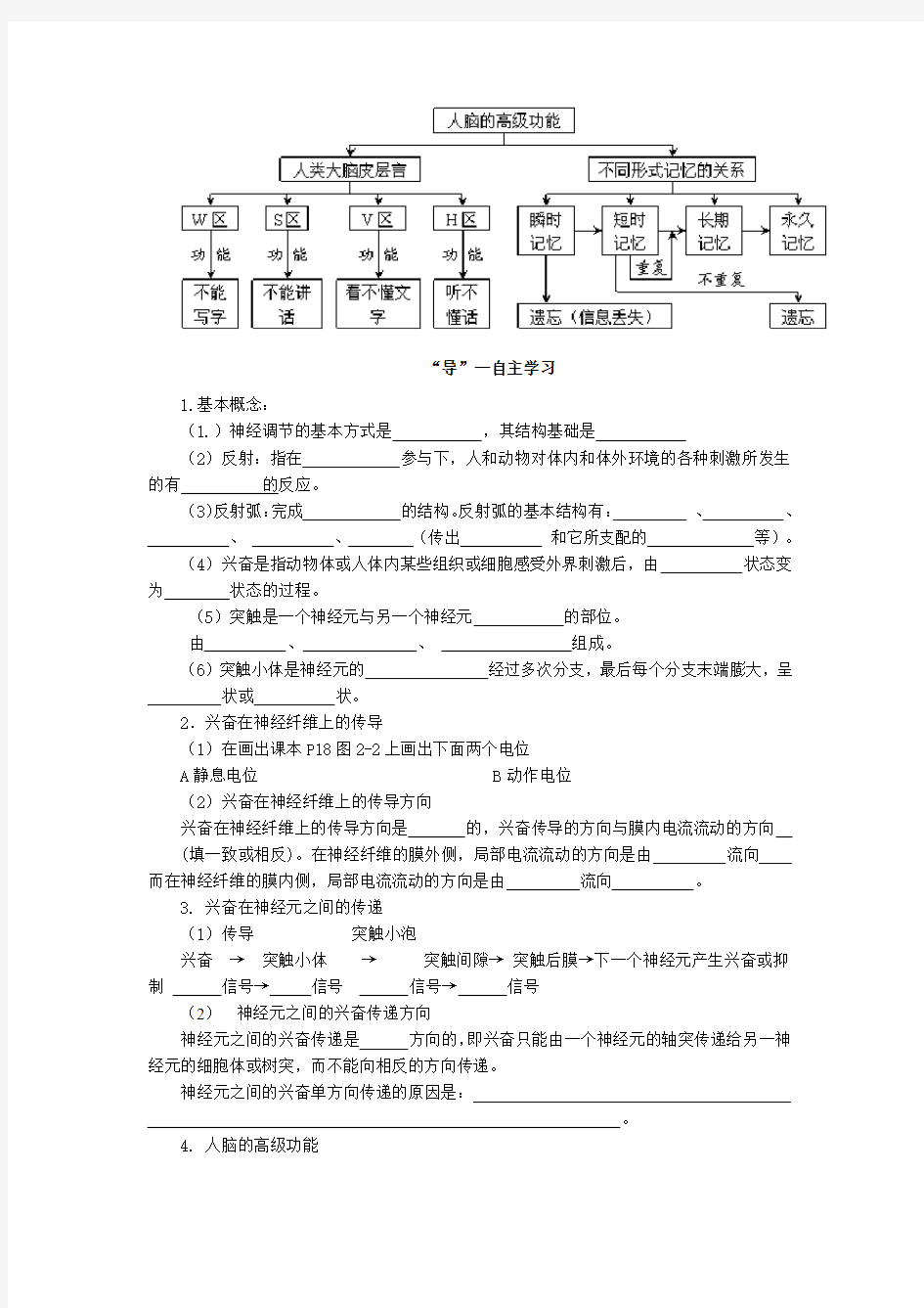 神经调节学案