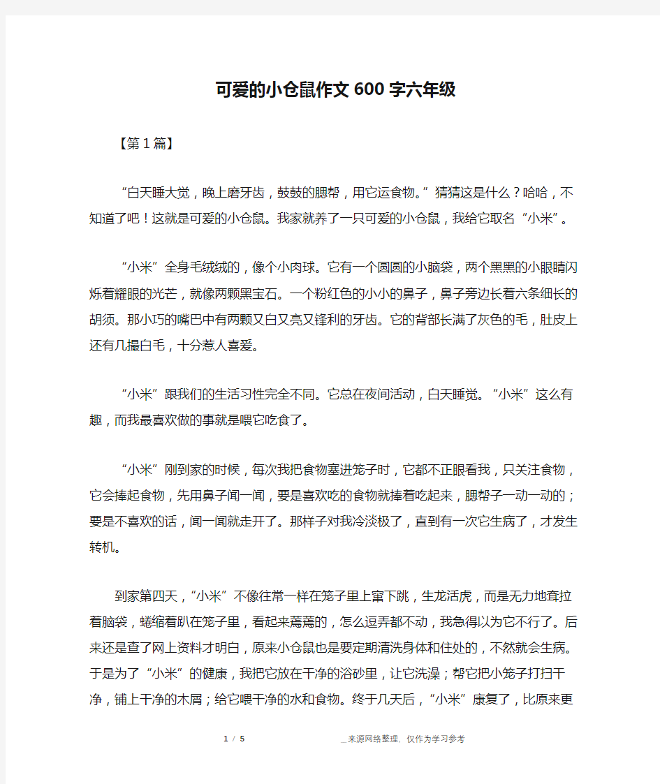 可爱的小仓鼠作文600字六年级