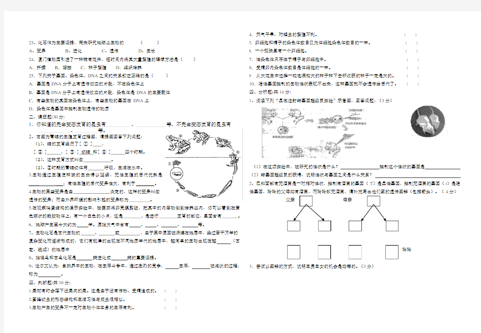 八年级下册生物期中测试卷