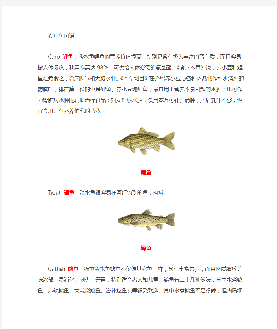 食用鱼类图谱
