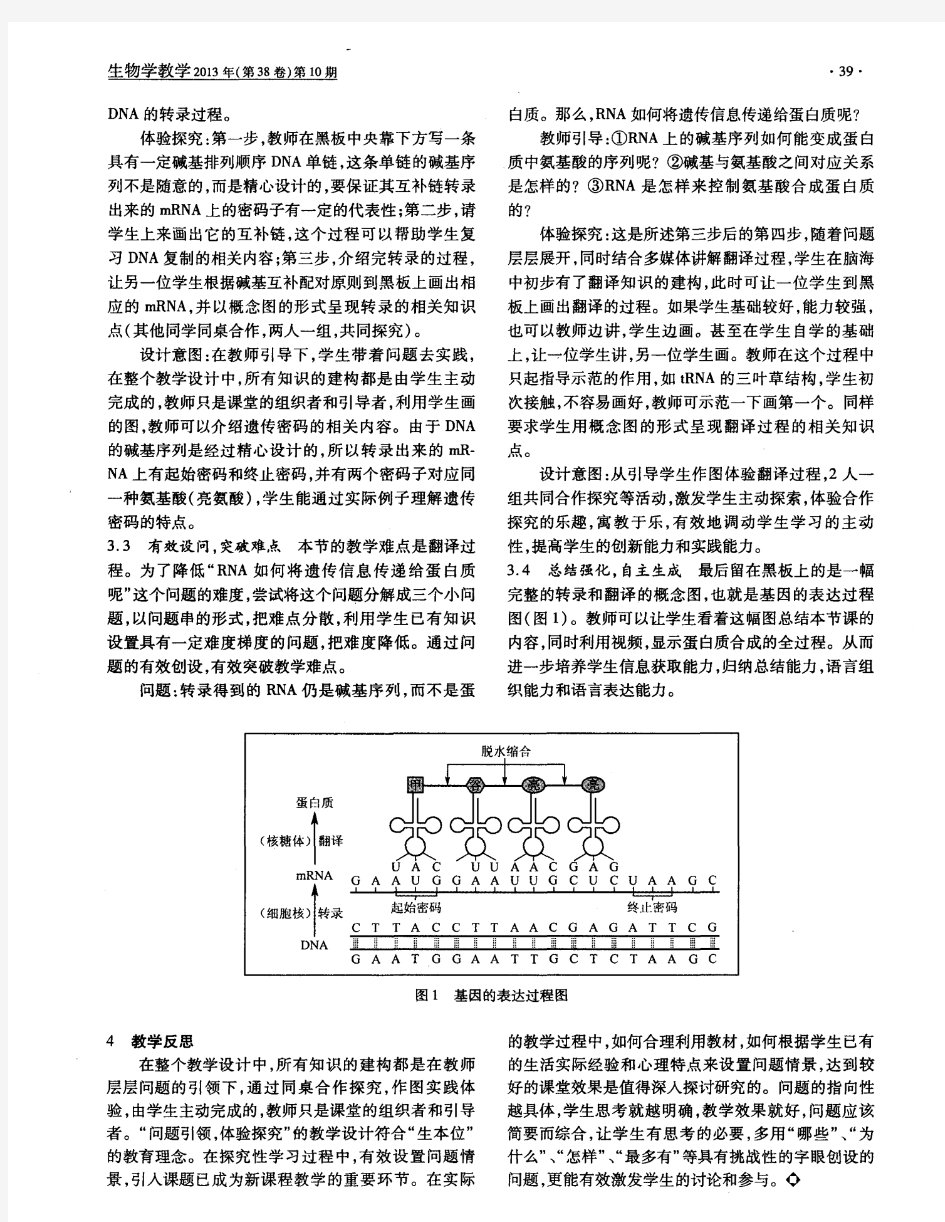 “基因的表达”一节的问题探究式教学设计