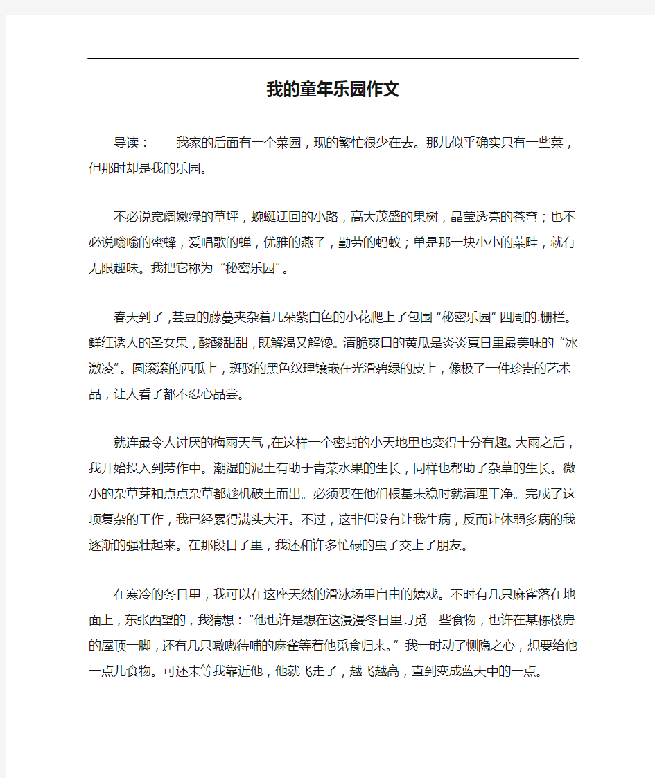 我的童年乐园作文