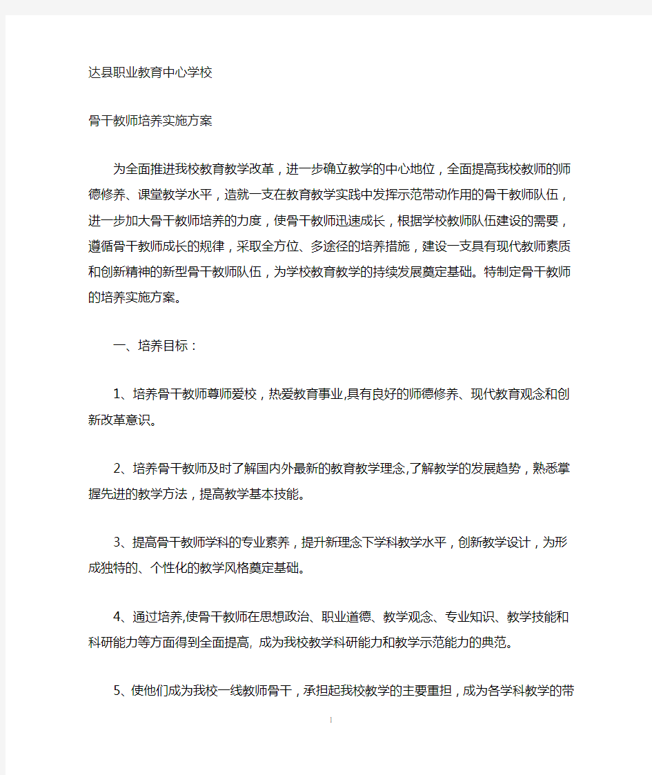 骨干教师发展计划