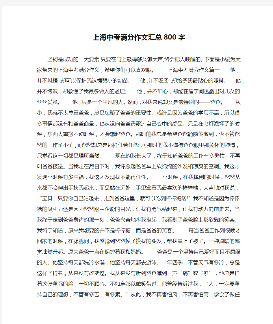 上海中考满分作文汇总800字