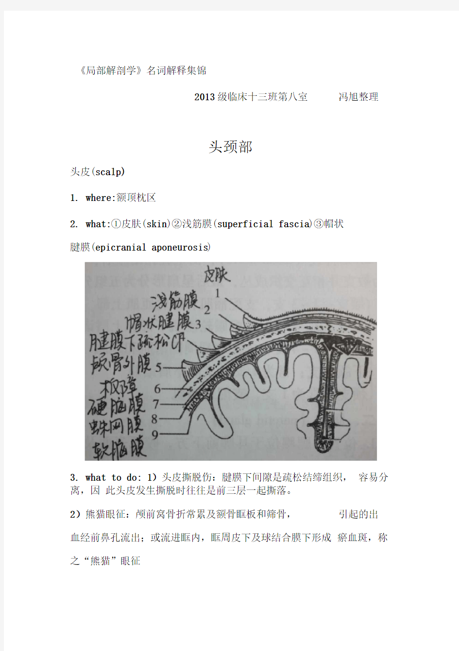 《局部解剖学》名词解释集锦.