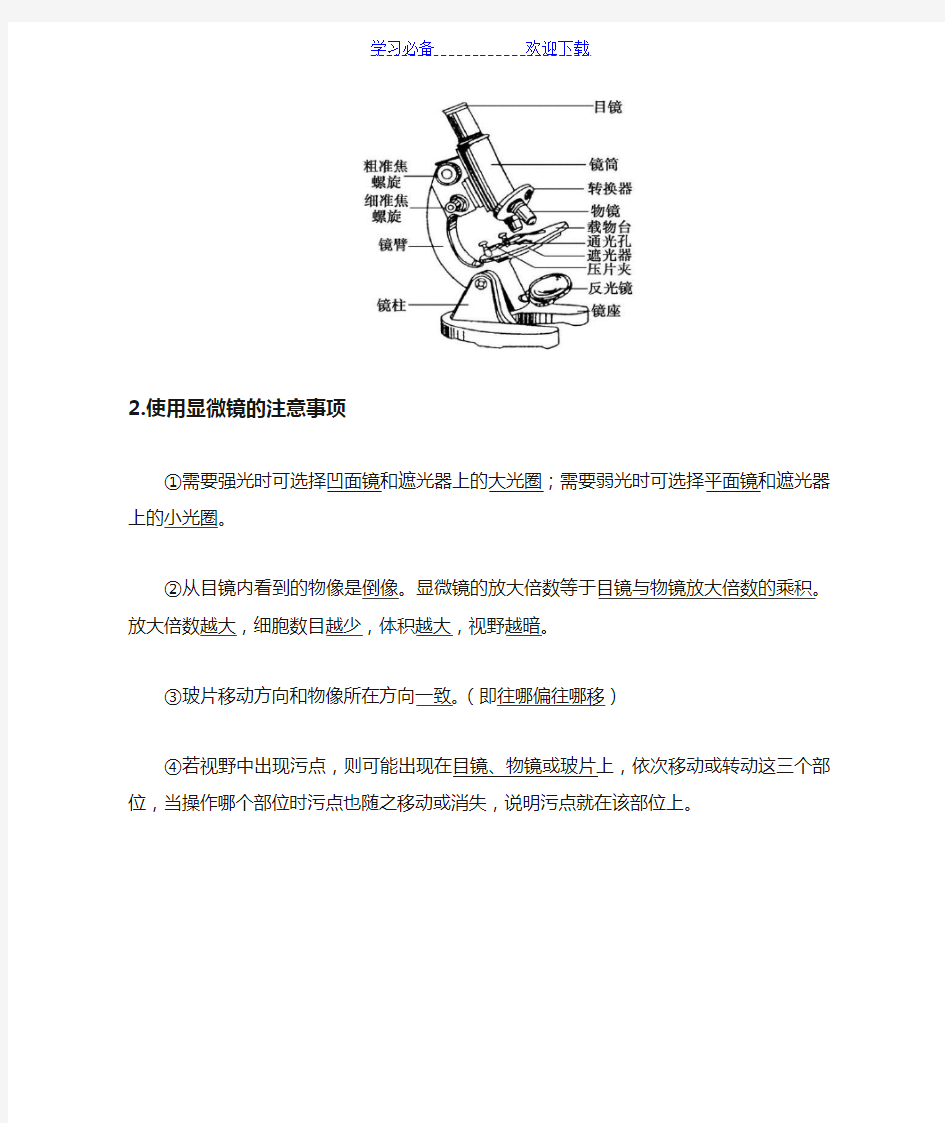 人教版生物中考知识点复习专题二《生物体的结构层次》