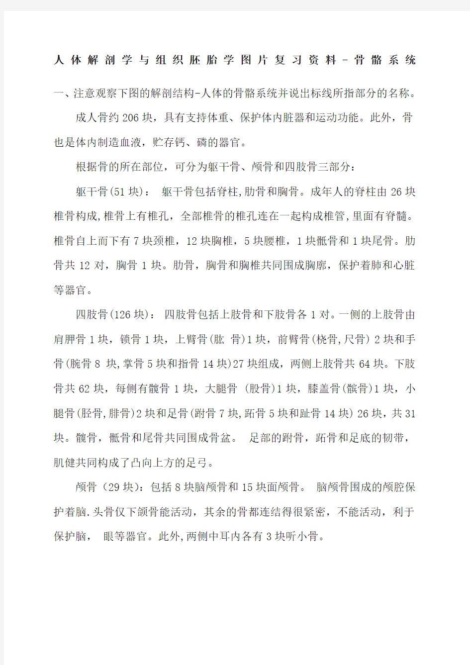 人体解剖学与组织胚胎学图片复习骨骼系统