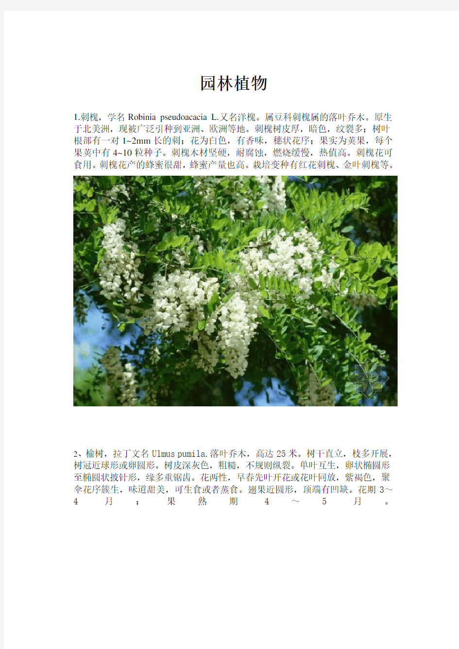 武汉地区常见园林植物