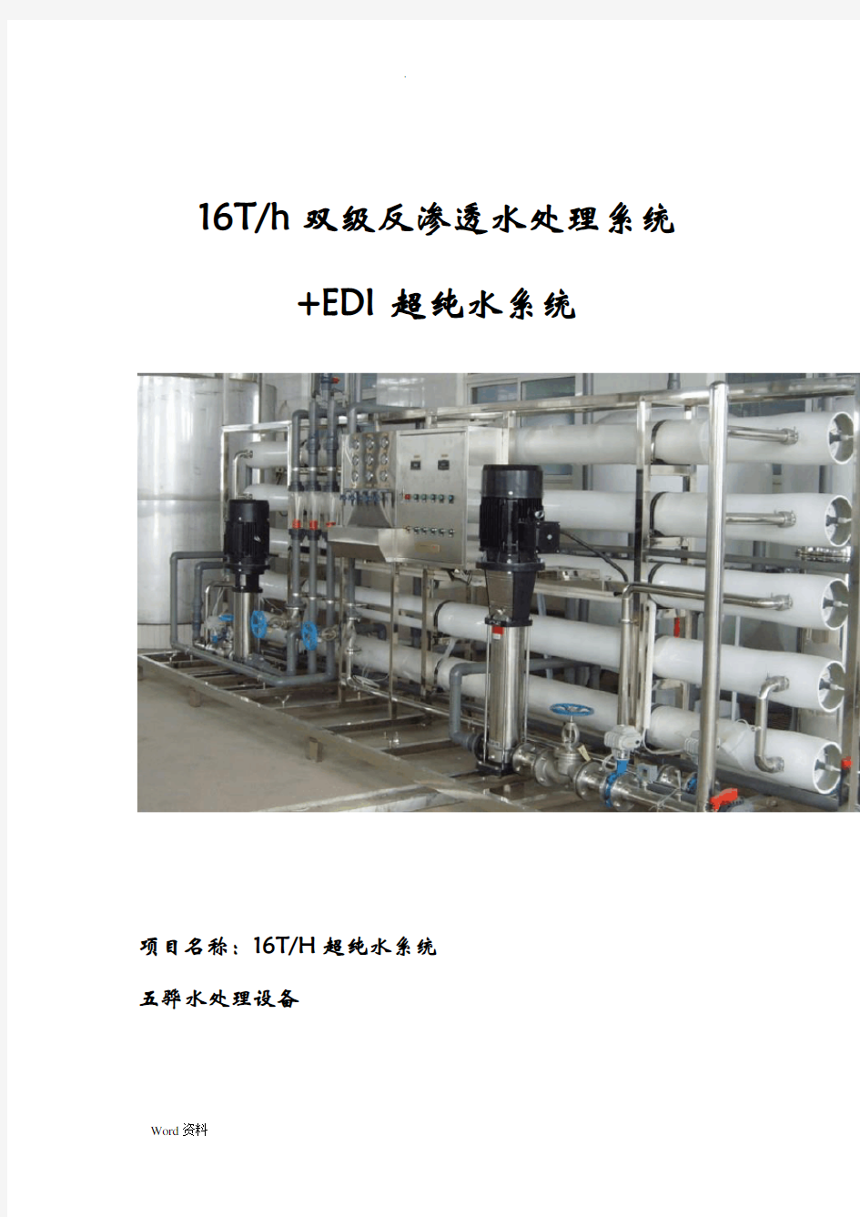 16T双级反渗透 EDI