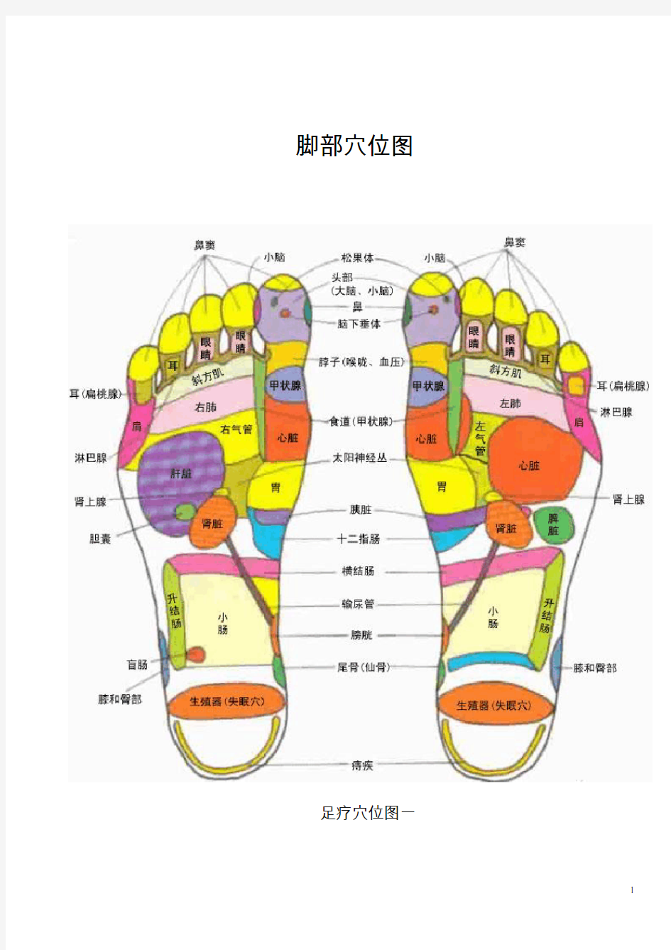 -脚部穴位图全面(图文)