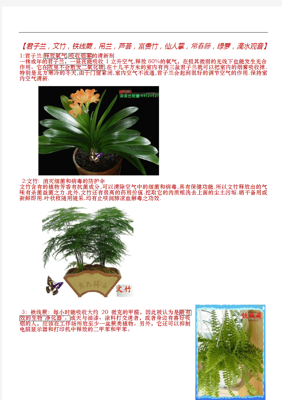 10种适合在室内摆放的植物、盆景