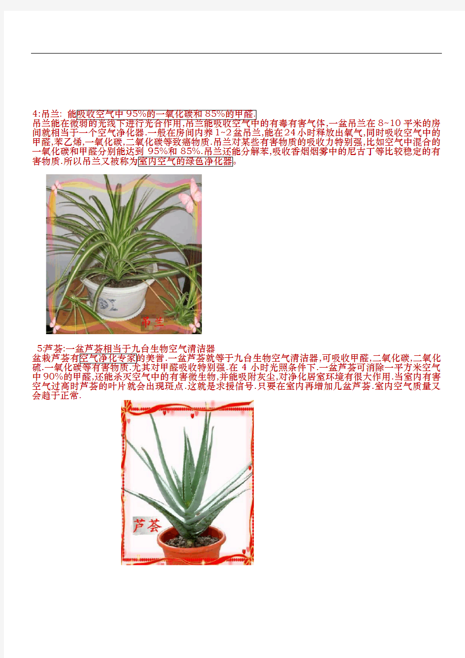 10种适合在室内摆放的植物、盆景