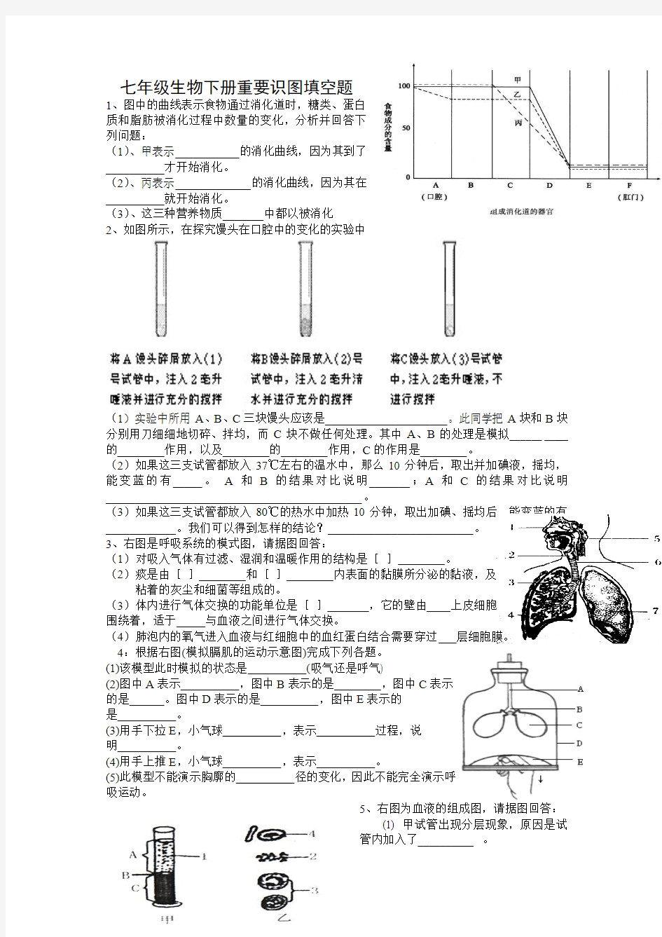 人教版七年级下册生物重要识图题