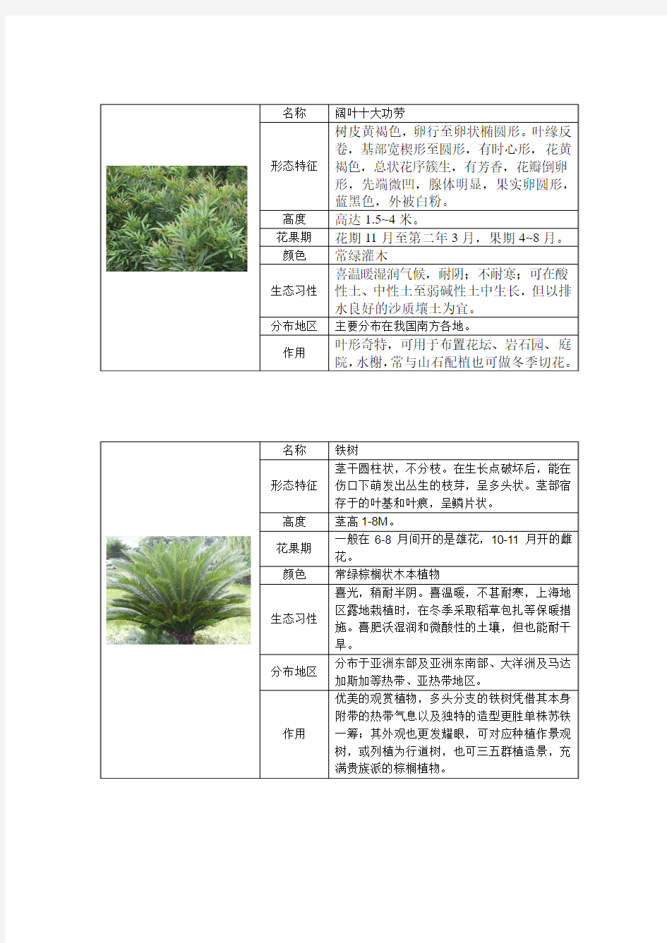 重庆地区常见灌木类