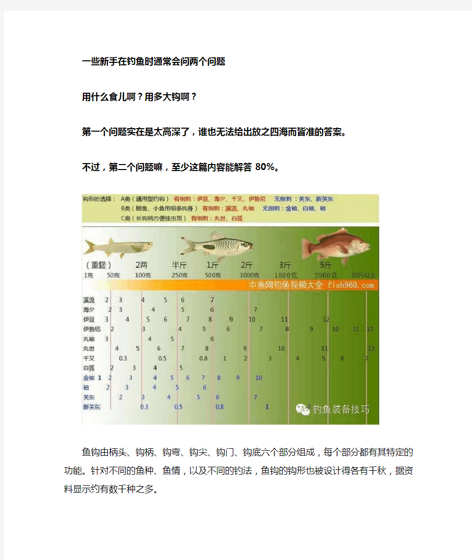 图解鱼钩的种类型号对比选择