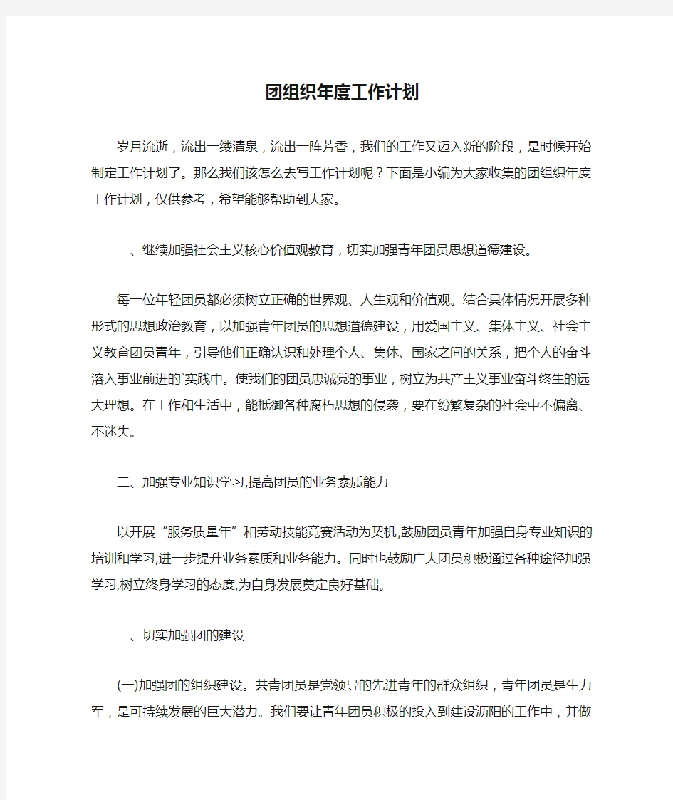 团组织年度工作计划