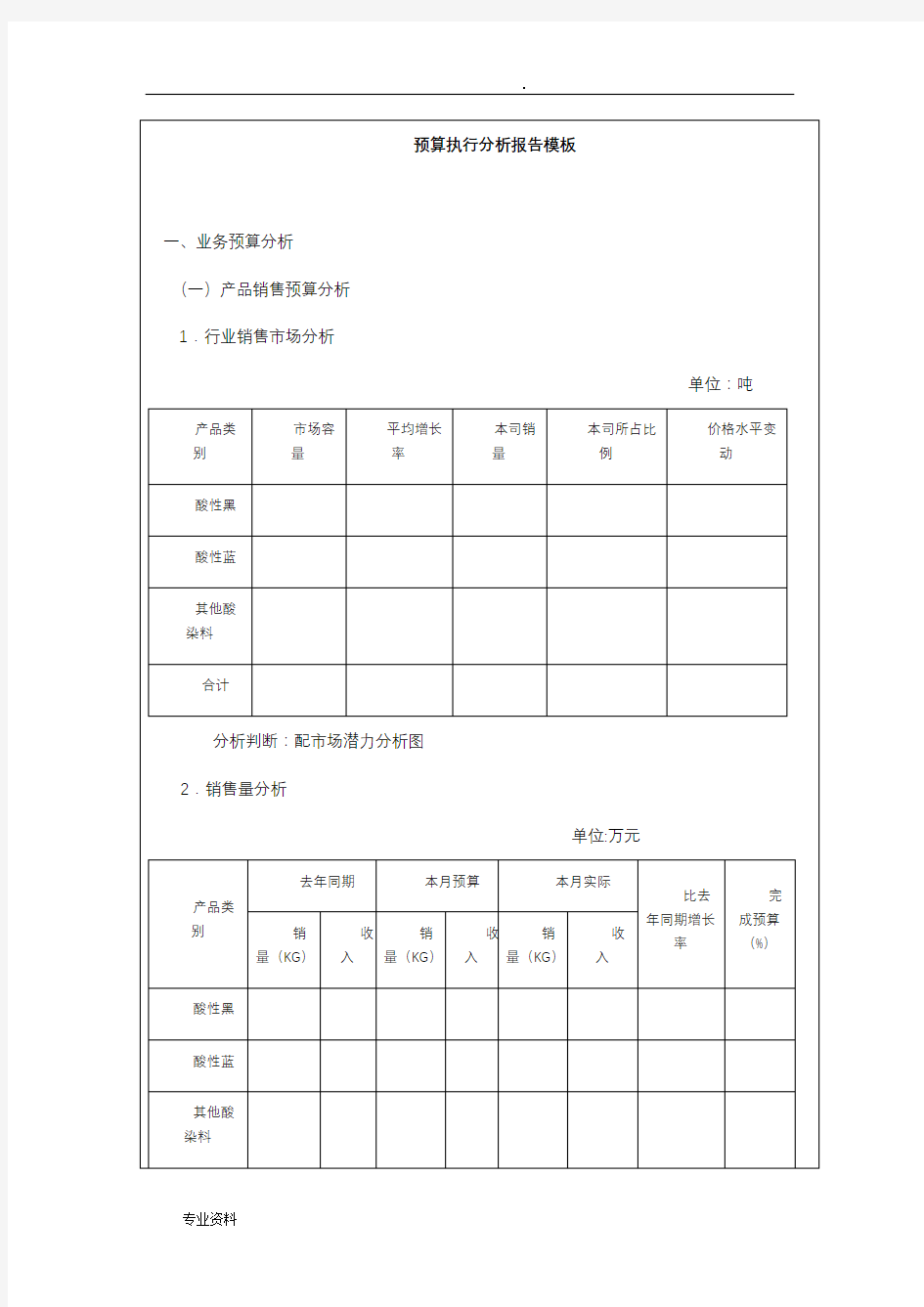 预算执行分析实施报告模板