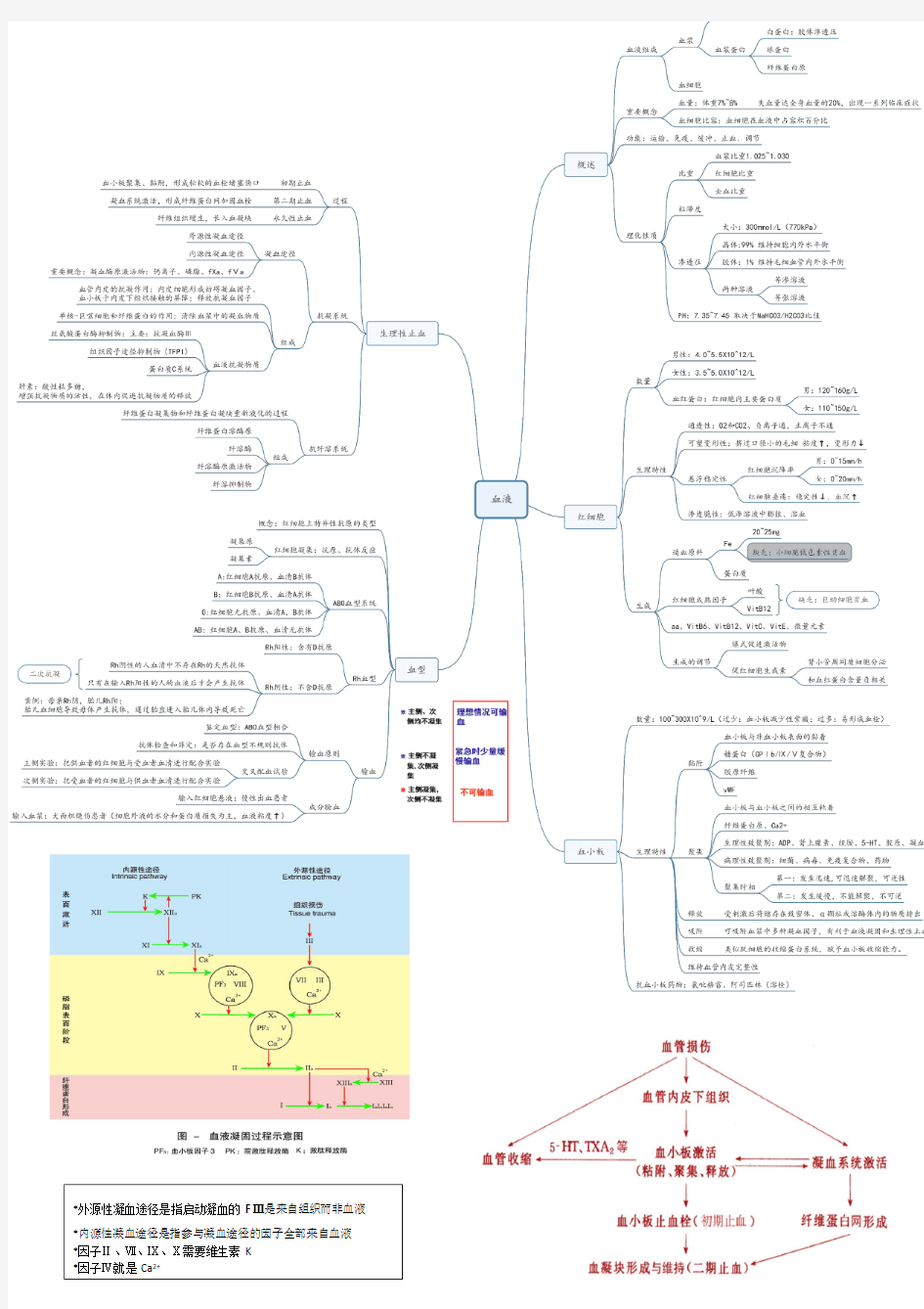 生理学思维导图