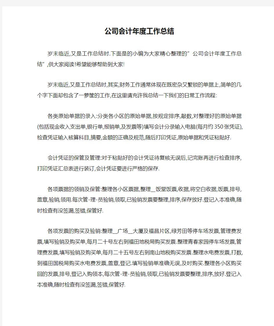 公司会计年度工作总结