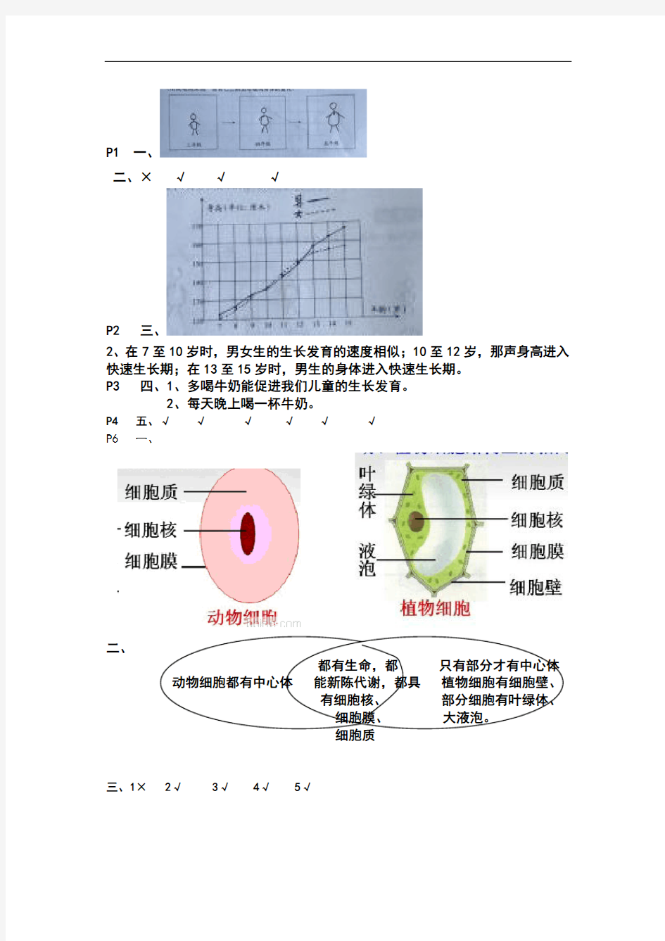 五年级科学上册练习(修订版)