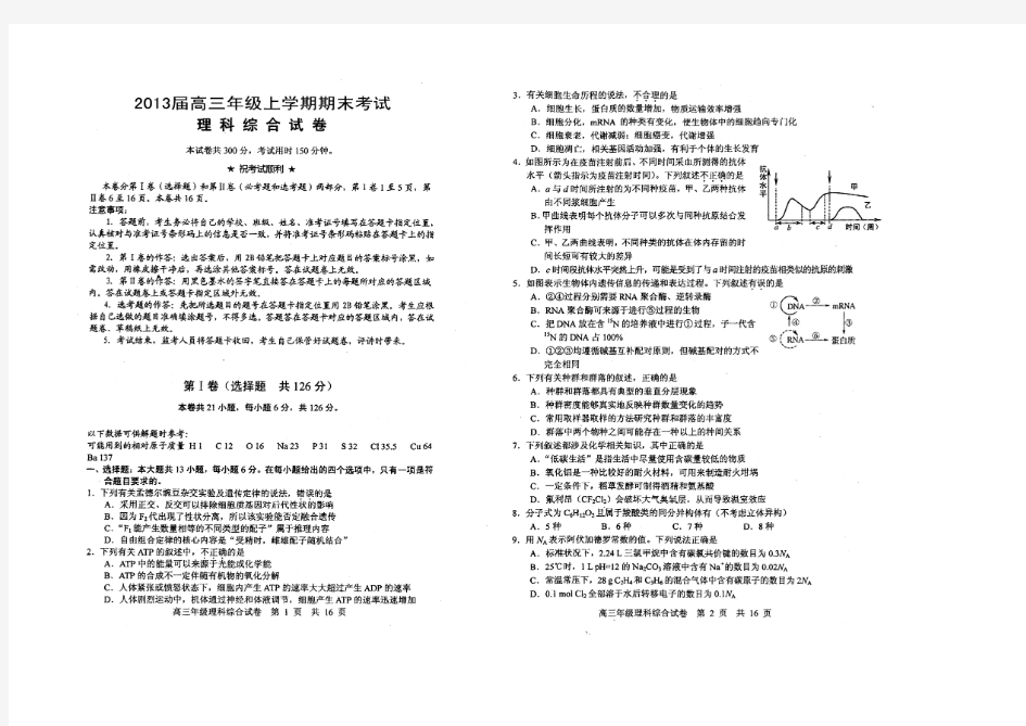 湖北省武汉市2013届高三元月调研考试理科综合试题