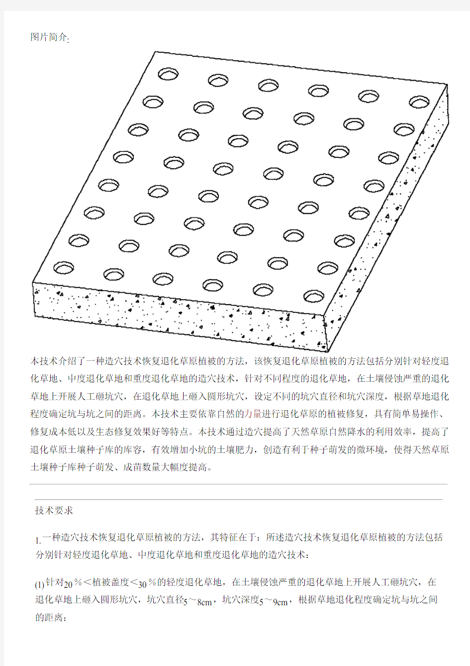 造穴技术恢复退化草原植被的方法与设计方案