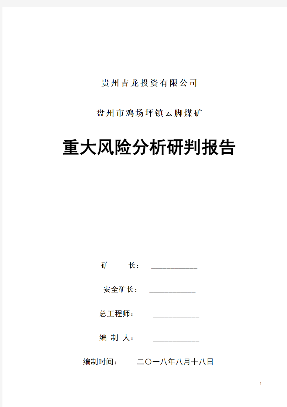 重大风险分析研判报告