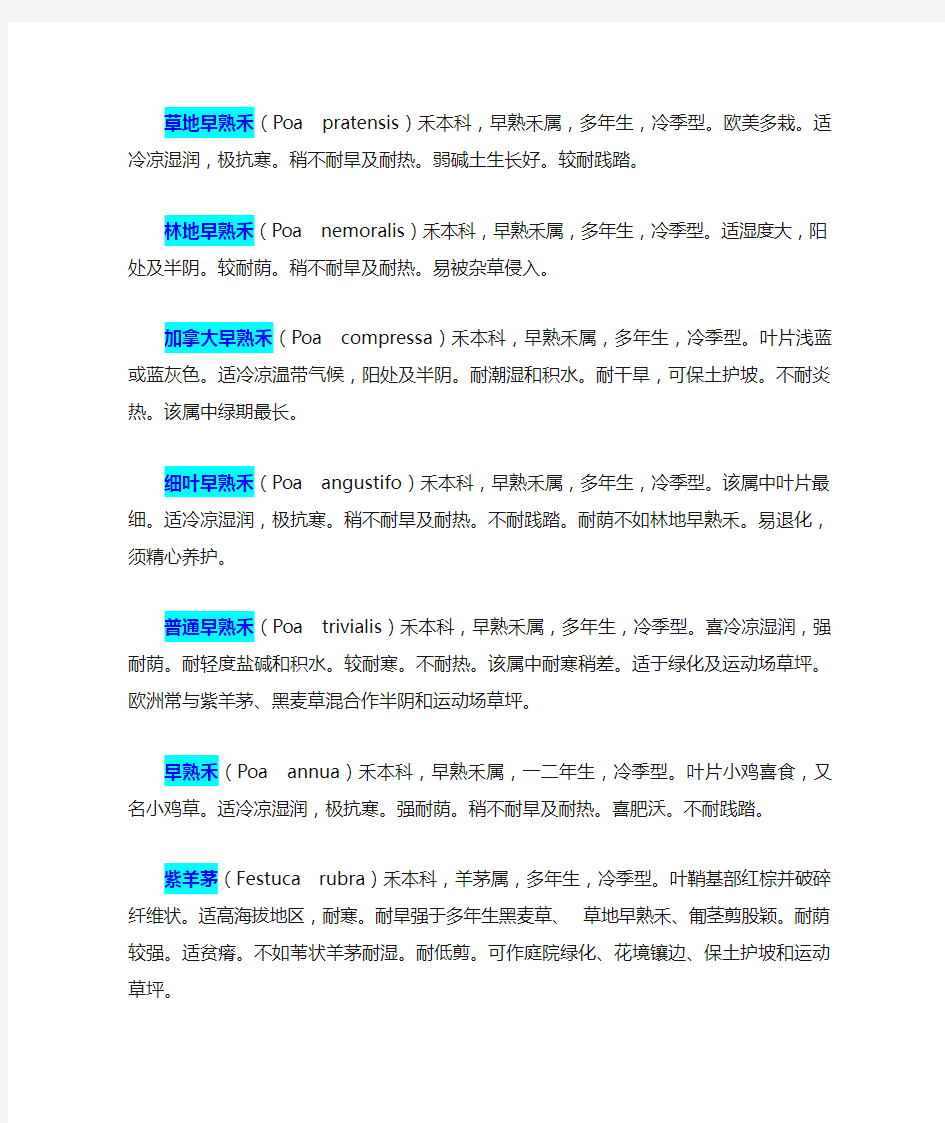 园林绿化草坪种类大全