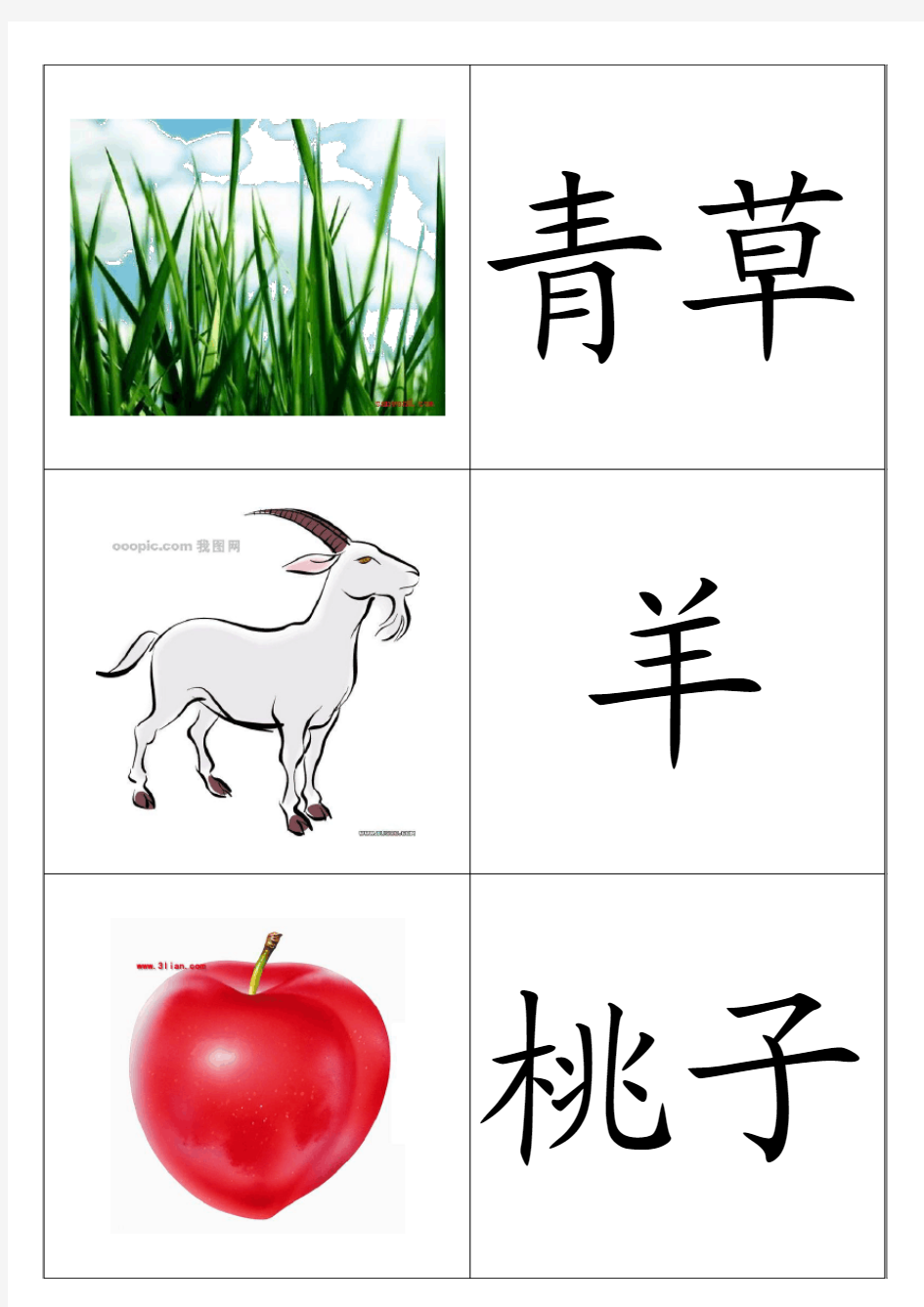 幼儿识字卡片配图一：动物植物