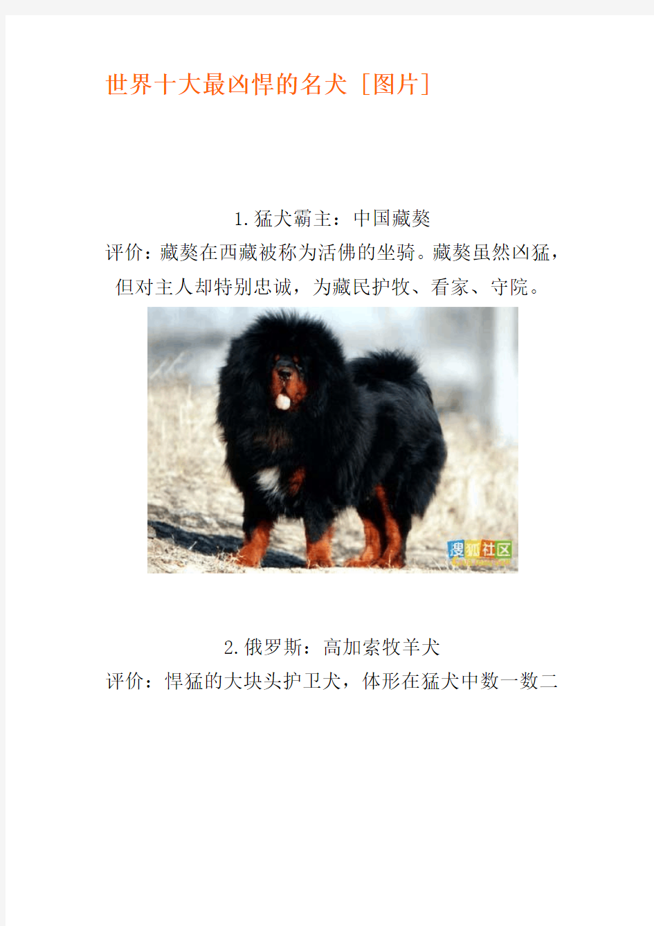 世界十大最凶悍的名犬【图片】