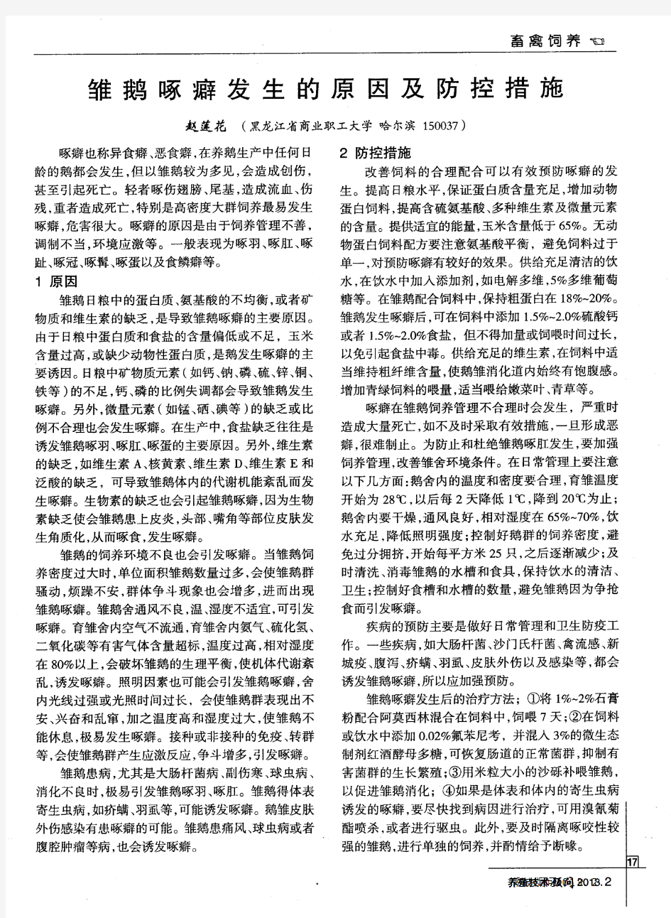 雏鹅啄癖发生的原因及防控措施