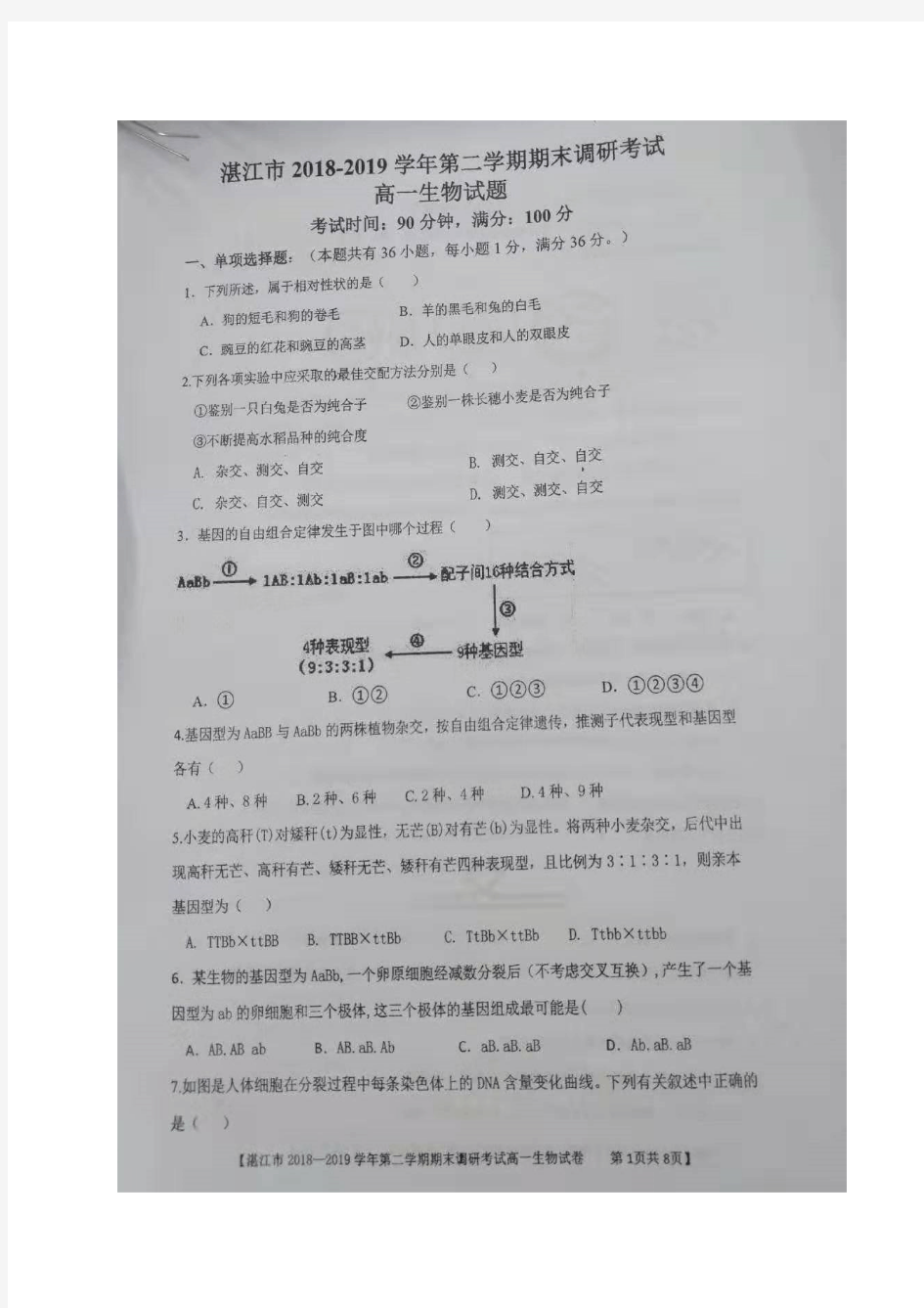 2019届广东省学年湛江市高一下学期期末调研考试生物试题